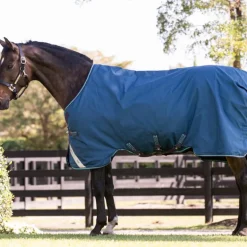 Horseware - Couverture d'extérieur Rhino Turnout marine/ gris/ aqua 100g