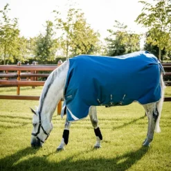 Horseware - Couverture d'extérieur thérapeutique Ionic Therapy Turnout imperial blue/ argent/ marine 100g