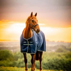 Horseware - Couverture d'extérieur Amigo Ripstop Pony Turnout witney navy 50g
