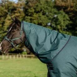 Horseware - Couvre-cou Amigo Ripstop Turnout dynasty green/ marine/ argent 150g