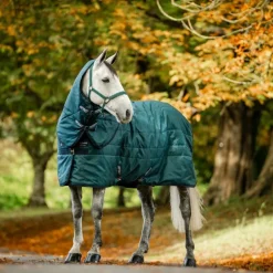 Horseware - Couvre-cou couverture de box Amigo Ripstop Insulator dynasty green/ marine/ argent 200g