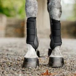 Horseware - Guêtres ouvertes Classic noir