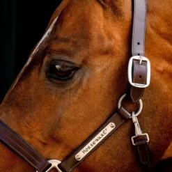 Horseware - Licol en cuir Signature marron
