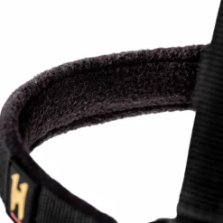 Horseware - Licol et longe Newmarket witney gold