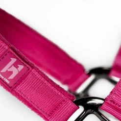 Horseware - Licol et longe Newmarket witney pink