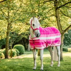 Horseware - Licol et longe Newmarket witney pink