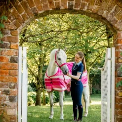 Horseware - Licol et longe Newmarket witney pink