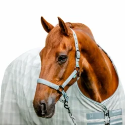 Horseware - Licol et longe Newmarket witney charcoal