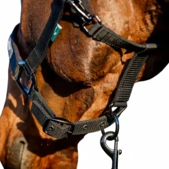 Horseware - Licol et longe Amigo noir