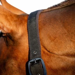 Horseware - Licol et longe Amigo noir