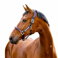 Horseware - Licol pour chevaux Signature Competition marine/ marron