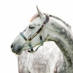 Horseware - Licol pour chevaux Signature Tressé marron/ marine/ blue haze