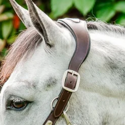 Horseware - Licol pour chevaux Signature Tressé marron/ marine/ blue haze