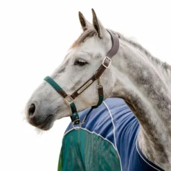 Horseware - Licol pour chevaux Signature Tressé marron/ marine/ hunter green