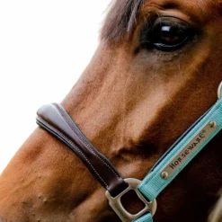 Horseware - Licol pour chevaux Signature Competition marron/ blue haze