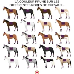 Imperial Riding - Tapis de dressage IRHIImperial Ambient Flower prune