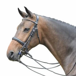 Jump'In - Bride vernie avec rênes