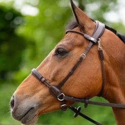 Jump'In - Bridon bitless Evolution havane