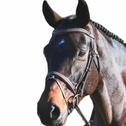 Jump'In - Bridon Carat collection One premium havane