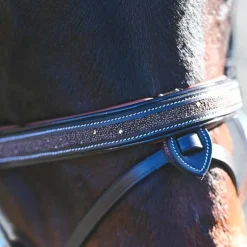 Jump'In - Bridon Carat collection One premium havane