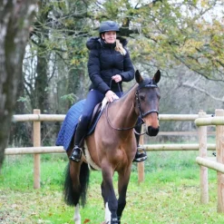 Jump'In - Bridon Carat collection One premium havane/ bleu