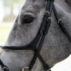 Jump'In - Bridon muserolle croisée Evolution noir