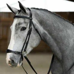 Jump'In - Bridon muserolle allemande Evolution noisette