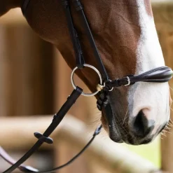 Jump'In - Bridon muserolle allemande Evolution havane