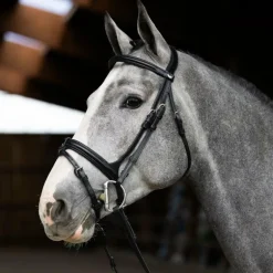 Jump'In - Bridon muserolle combinée Evolution noir