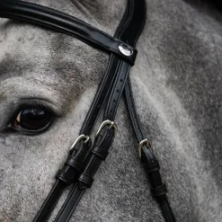 Jump'In - Bridon muserolle combinée Evolution noir