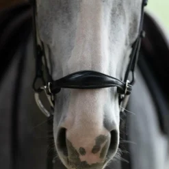 Jump'In - Bridon muserolle allemande Evolution noir