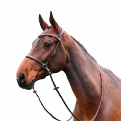 Jump'In - Bridon One bitless noisette