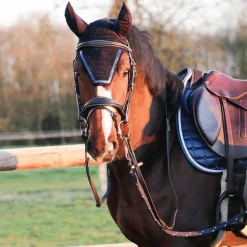 Jump'In - Bridon One Bruxelles avec rênes Noir