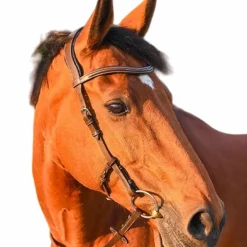 Jump'In - Bridon One liberty noisette/ noir