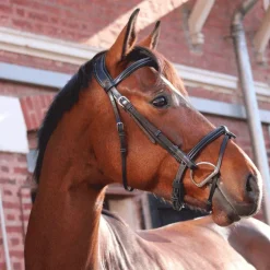 Jump'In - Bridon One London avec rênes Noir