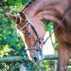 Jump'In - Bridon One New York avec rênes noisette