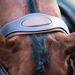 Jump'In - Bridon One New York avec rênes noisette