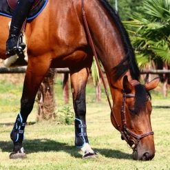 Jump'In - Bridon One New York avec rênes noisette