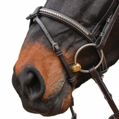 Jump'In - Bridon One Premium Clincher noisette