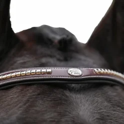 Jump'In - Bridon One Premium Clincher havane