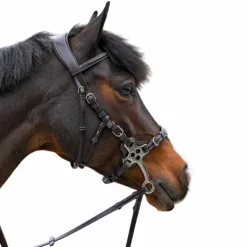 Jump'In - Bridon One Premium Hackamore havane