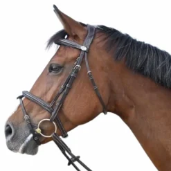 Jump'In - Bridon Tuesday collection Week havane