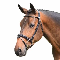 Jump'In - Bridon Wednesday muserolle combinée noir