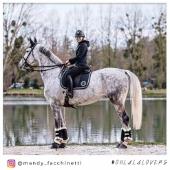 Jump'In - Bridon Week Friday avec rênes