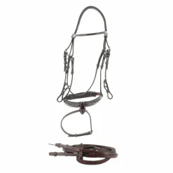 Jump'In - Bridon Week Monday avec rênes