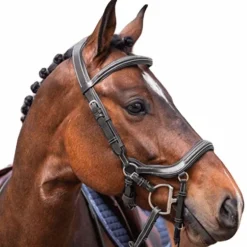 Jump'in - Bridon week Summer noir