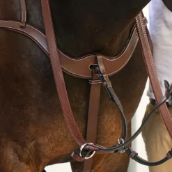 Jump'In - Collier de chasse 5 points + martingale One Noisette