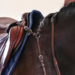 Jump'In - Collier de chasse 5 points + martingale One Noisette