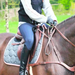 Jump'In - Collier de chasse 5 points + martingale One Noisette