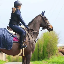 Jump'In - Collier de chasse 5 points + martingale One Noisette